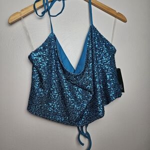 wild fable Teal Blue Sequin Halter Crop Top